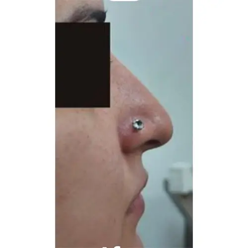 66+copy1 (1)